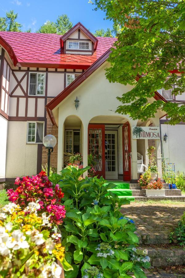 Hotel ピュアモール ミモザ Hakuba Exterior foto